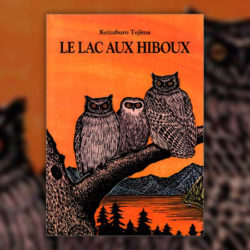 Tejima,-Le-Lac-aux-hiboux