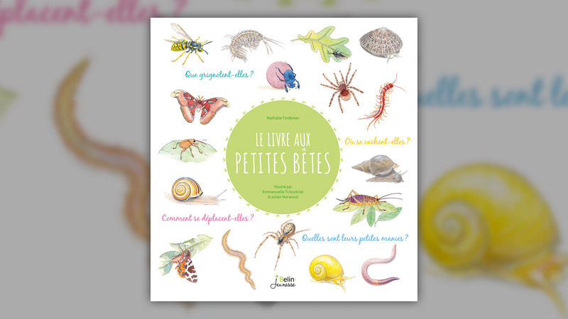 Nathalie Tordjman, Le Livre aux petites bêtes