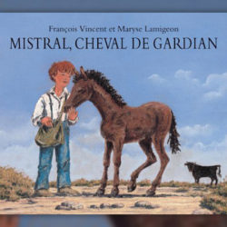 Vincent,-Mistral,-cheval-de-gardian