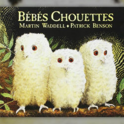 Waddel--Bebes-Chouettes