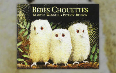 Martin Waddel, Bébés Chouettes