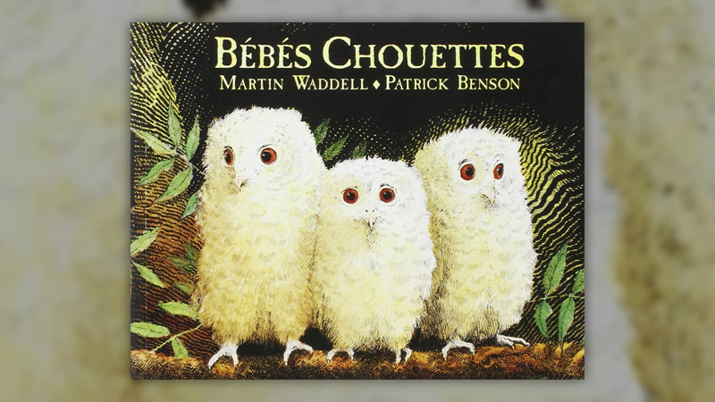 Waddel--Bebes-Chouettes