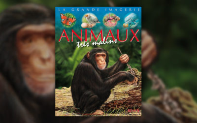Sabine Boccador, Animaux très malins