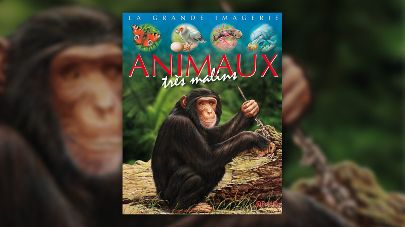 les-animaux-tres-malins