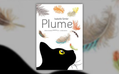 Isabelle Simler, Plume