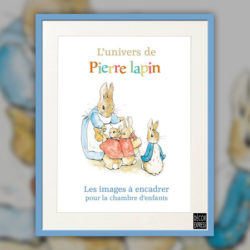 univers-pierre-lapin-