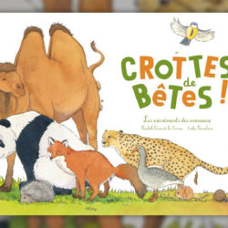 crottes-de-betes