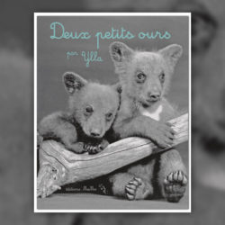 Ylla-Deux-Petits-Ours