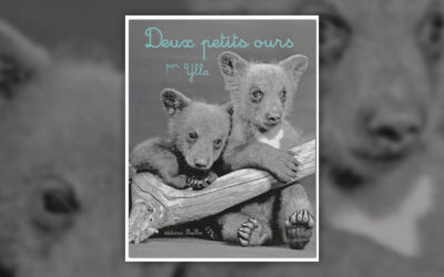 Ylla, Deux petits ours