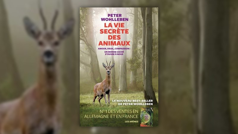 Peter Wohlleben, La Vie secrète des animaux