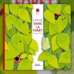 Pelon-cache-dans-la-foret