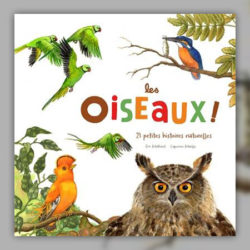 mathivet--les-oiseaux
