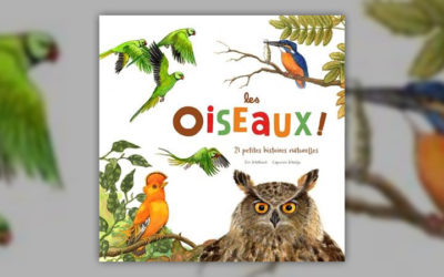 Eric Mathivet, Les Oiseaux !