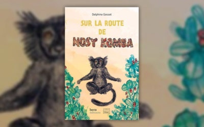Delphine Gosset, Sur la route de Nosy Komba