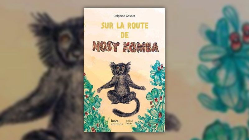 Delphine Gosset, Sur la route de Nosy Komba