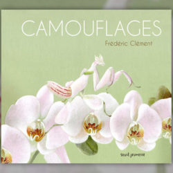 clement-camouflages