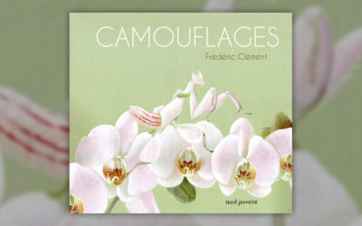 Frédéric Clément, Camouflages