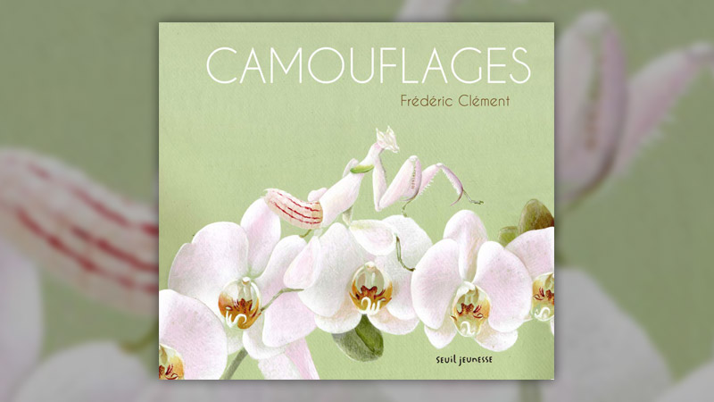 clement-camouflages