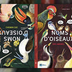 simler-noms-oiseaux