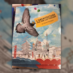 plumagile-architecture-pigeons