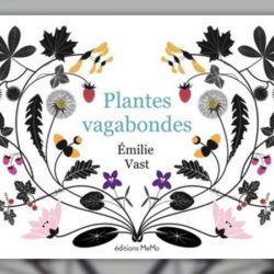 emilie-vast--plantes-vagabondes