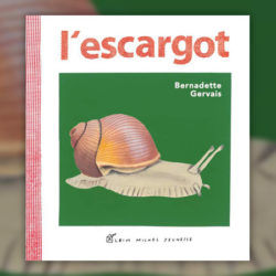 gervais-escargot