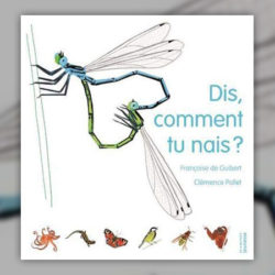 guibert--dis-comment-tu-nais