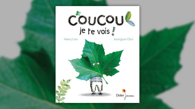 lee-Choi-coucou-je-te-vois