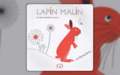 Martine Perrin, Lapin malin, un livre animé à colorier