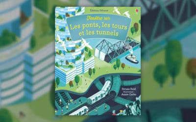 Struan Reid, Fenêtre sur les ponts, les tours et les tunnels