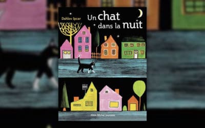 Dahlov Ipcar, Un chat dans la nuit