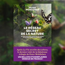 wohlleben-réseau-secret-nature