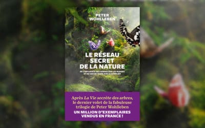 Peter Wohlleben, Le réseau secret de la nature
