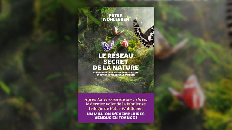 Peter Wohlleben, Le réseau secret de la nature