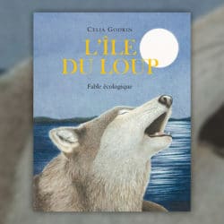 godkin-ile-du-loup