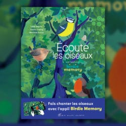 mazilu-écoute-les-oiseaux