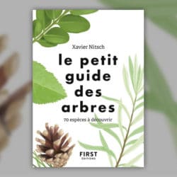 Nitsch---petit-guide-des-arbres