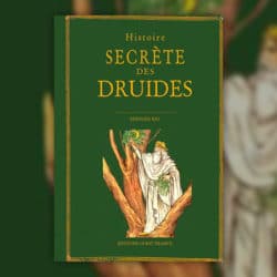 Rio-histoire-secrete-des-druides