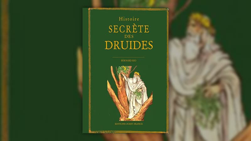 Bernard Rio, Histoire secrète des druides