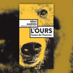 rémy-partin-l'ours-l'autre-de-l'homme