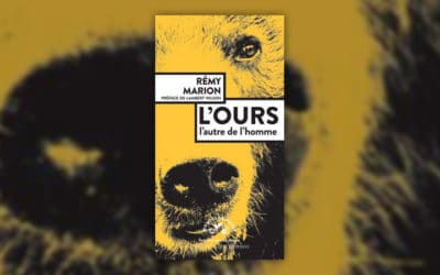 Rémy Marion, L’Ours, l’autre de l’homme