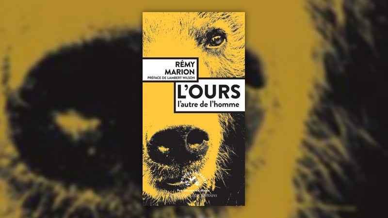 Rémy Marion, L’Ours, l’autre de l’homme