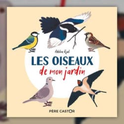adeline-ruel---les-oiseaux-de-mon-jardin.-jpg