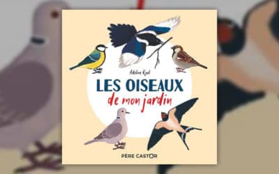 Adeline Ruel, Les oiseaux de mon jardin
