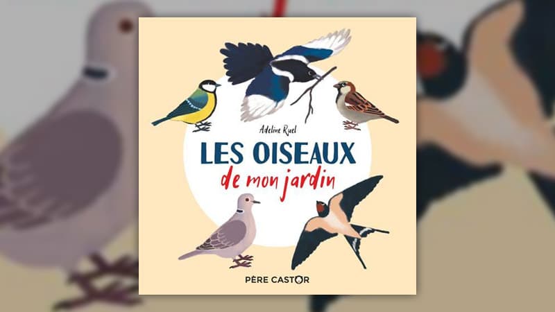 Adeline Ruel, Les oiseaux de mon jardin