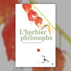 domergue-herbier-philosophe