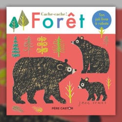 jane-ormes---cache-cache-foret