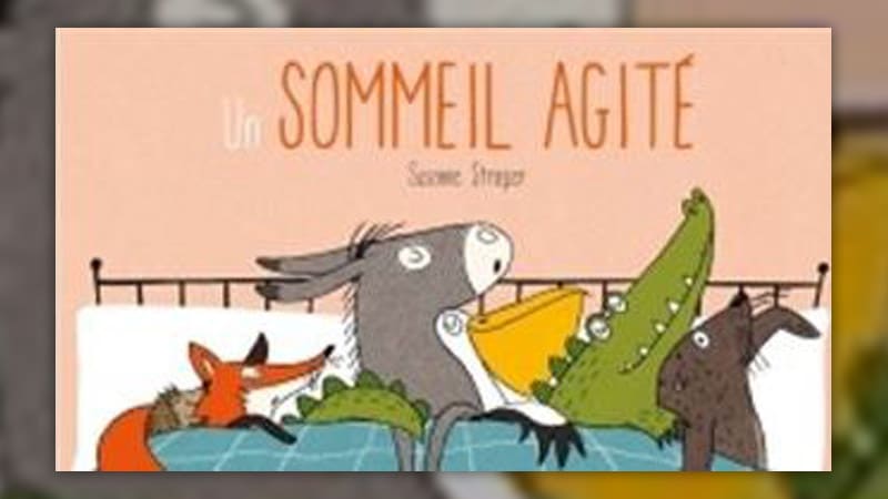 Susanne Strasser, Un sommeil agité