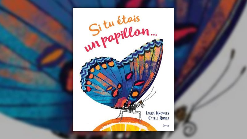 Si-tu-etais-un-papillon-