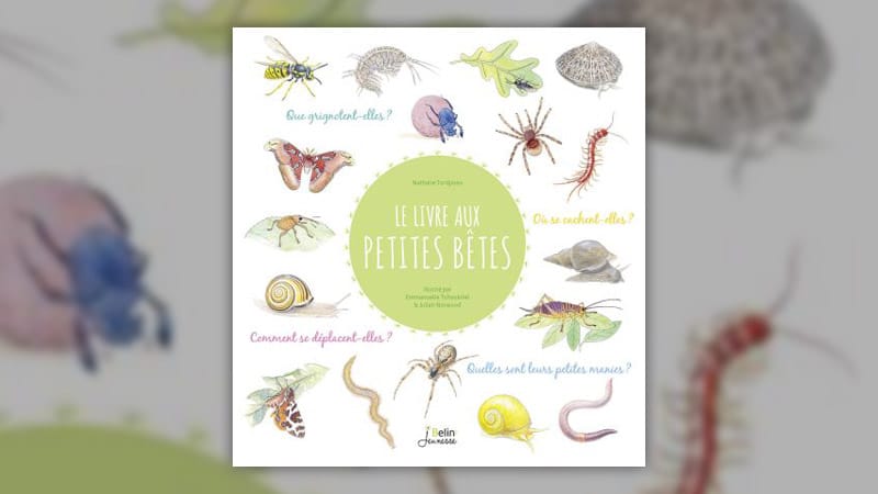 Nathalie Tordjman, Le livre aux petites bêtes